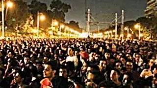 قصيدة فيلم صرخة نملة دندنها