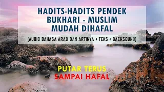 Download Kumpulan Hadis Pendek Mudah Dihafal Shahih Bukhari Muslim - Dibacakan Matan Bahasa Arab dan Artinya MP3