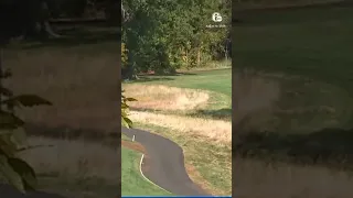NORAD intercepts 2 planes near Trump s New Jersey golf course