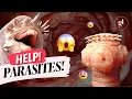 Your Complete Guide To An Effective Parasite Cleanse