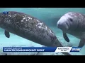 Fun things to do on the Treasure Coast and in Palm Beach this weekend