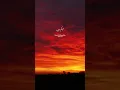 Download Lagu Surah Mutafafifin Ayat 4 #surahmutaffifin #allahkafarman #allah #islam #quran #foryou #shorts