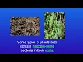 GCSE Biology Revision The Nitrogen Cycle Triple