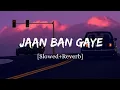 Download Lagu Jaan Ban Gaye - Vishal Mishra Song | Slowed And Reverb Lofi Mix