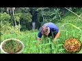Lagu Tumbuhan sawah petik di deket curug lembarang untuk dimasak bumbu gecok dengan srapahan beweh