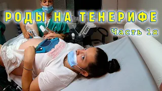 Рожаем на Тенерифе.