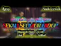 Download Lagu Sekali seumur hidup karaoke ( Lesti ) nada Cewek Am