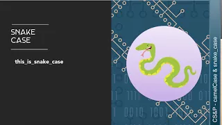 Learn CS Variables - camelCase vs snake