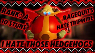 I Hate All 3 Of Those Pathetic Hedgehogs Sonic Exe Outcome Memories v0 2