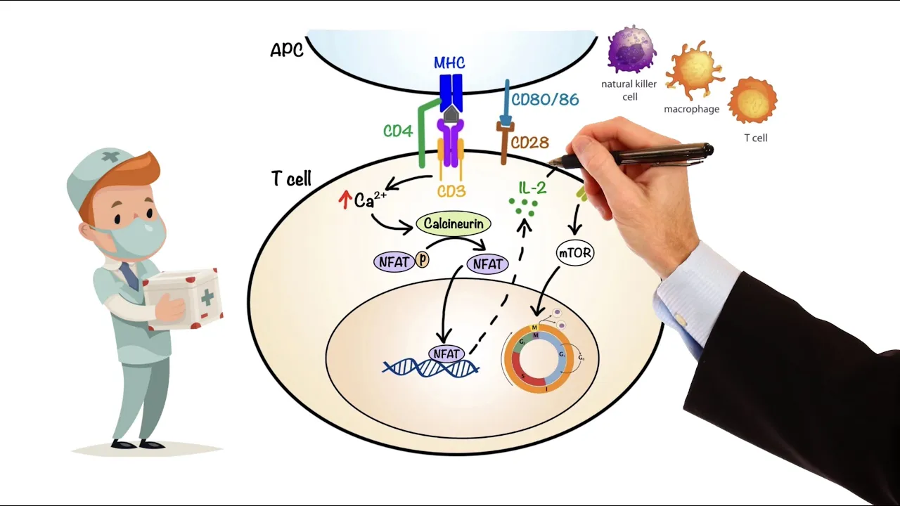 Pharmacology - IMMUNOSUPPRESSANTS (MADE EASY)
