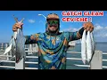 Download Lagu ￼ Best Pier FISHING for Spanish Mackerel? Let’s Make CEVICHE!
