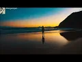 Taciturn - Stone Sour - Tradução
