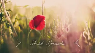                  عبد الحليم حافظ   على حسب الريح     شهد برمدا دندنها