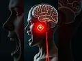 Lagu What Triggers Anger in Your Brain? | 3D Emotion Activation – Bio AI Art