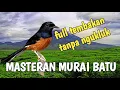 Download Lagu MASTERAN MURAI BATU FULL ISIAN TEMBAKAN ASLI HUTAN