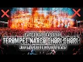 Lagu PATEN KALI BAS NYA !! DJ TEROMPET NARCO CHORI CHORI JUNGLE DUTCH FULL BAS