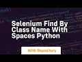 selenium find by class name with spaces python