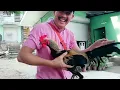 Download Lagu GOOD SIZE LAMBUHON ANG LAKAS