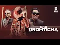 Download Lagu Desu Ambo ft Sayyoo Dandanaa Oromtichaa  (New Oromo music 2024)
