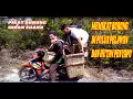 SERU!!! MEMIKAT BURUNG DI PULAU PELAWAN DAN HUTAN BELANTARA