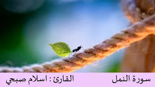 6 ساعات تلاوه القاري اسلام صبحي صوت يدخل القلب بدون استئذان 