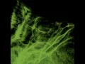 Shallow Affect - Alix Perez & Ebb