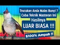 Download Lagu Masteran Trucukan Gacor Ngalas Tarung Ropel Paling Bagus Untuk Pancingan Trucukan Agar Bunyi Nyaut