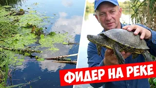 Фидер на течении  когда НЕСЁТ ТРАВУ 💥 Рыбалка в черте города на реке