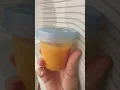 Update New Vegan Babybrei