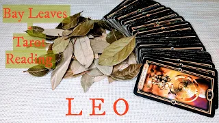 LEO - You Are Proof that Dreams Do Come True! SEPTEMBER 7th-13th 