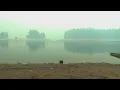 Ash falling from the sky demonstrates how poor the air quality is because of wildfires