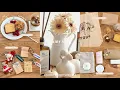 Download Lagu ［ vlog ］朝6時起床🌤️朝活して生産的な一日を過ごしたい大人の一人暮らし🐈🥞| 休日モーニングルーティン| 読書とカフェとガチャガチャetc..