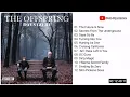Download Lagu Full Album THE OFFSPRING - Days Go By
