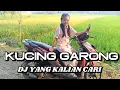 Download Lagu DJ KUCING GARONG || YANG KALIAN CARI VIRAL TIKTOK TERBARU 2025
