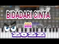 Download Lagu BIDADARI CINTA | ORG ANDROID 2022