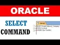 Data Retrieval SELECT command examples run in ORACLE tool