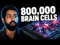 Biological Computers Are Real Now I Tried One