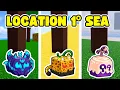 All fruit spawn location 1st sea iN Blox Fruits