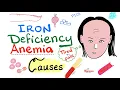Download Lagu Iron Deficiency Anemia - Causes - Hematology Series