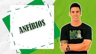 ANFÍBIOS - PROFESSOR GUSTAVO