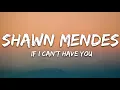 Shawn Mendes - If I Can't Have You (Lyrics)