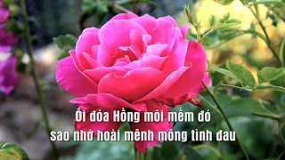 Bài không tên số 86