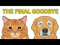 Dogs and Cats Can Sense Their Final Hours Watch For These Signs
