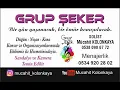 Mücahit Kolankaya Oyun Havaları ( spontane kayıt ) 2023