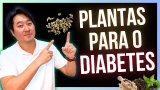 6 SUPER PLANTAS PARA O DIABETES QUE ABAIXAM O AÇÚCAR.