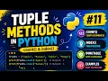 Python Tuple Methods Explained for Beginners