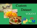 YOLOv5 - Training Yolov5 object detection model on a custom dataset using openCV and Python