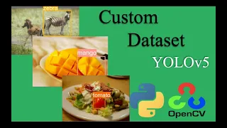 YOLOv5 - Training Yolov5 object detection model on a custom dataset using openCV and Python