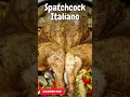 Download Lagu Frango Spatchcock | Kamado Joe Big Series III: Receita Irresistível com Tempero Italiano!