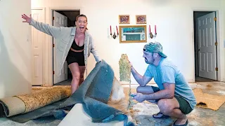 OUR NEW BIG PROJECT STARTS HERE…